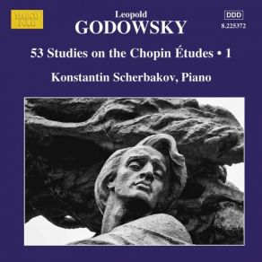 Godowsky: Piano Music, Vol. 14 album cover