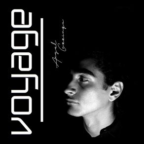 Voyage album cover