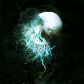 The Disappearance Of Memories album cover