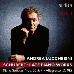 Schubert - Late Piano Works, Vol. 1 - Andrea Lucchesini album cover