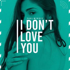 I Don't Love You album cover