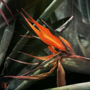 The Return To The Garden album cover