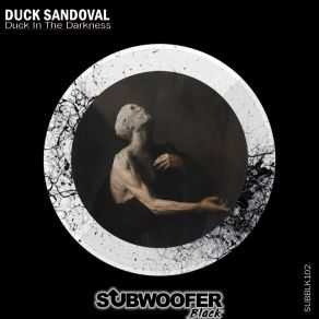 Duck In The Darkness album cover