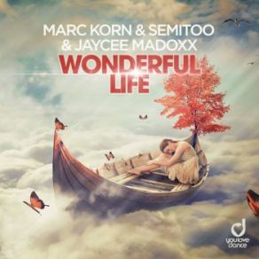 Wonderful Life (Steve Modana Mixes) (Maxi-Single) album cover