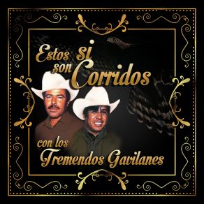 Estos Si Son Corridos Con Los Tremendos Gavilanes album cover