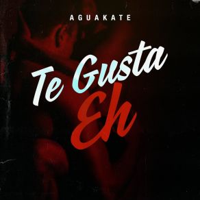 Te Gusta Eh album cover