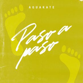Paso A Paso album cover