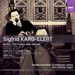 Karg-Elert - Music For Piano And Organ - Annikka Konttori-Gustafsson, Jan Lehtola album cover