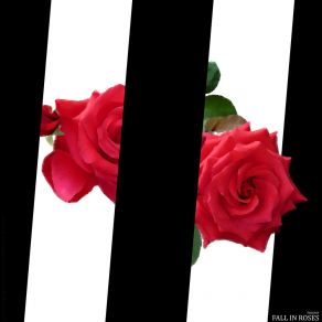 Fall In Roses (Beat) album cover
