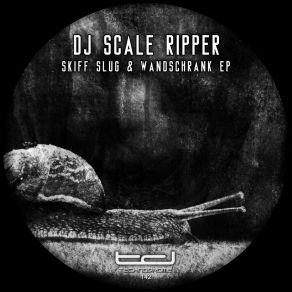 Skiff Slug & Wandschrank album cover