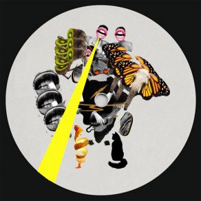 24 album cover