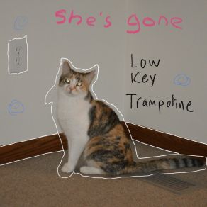 She's Gone album cover