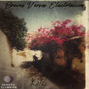 Breves Versos Electrónicos (Extended Mixes) album cover
