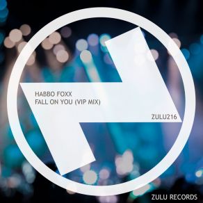 Fall On You (VIP Mix) album cover