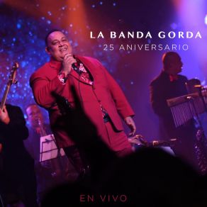 25 Aniversario (En Vivo) (En Vivo) album cover