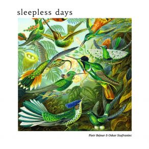 Sleepless Days album cover
