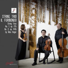 Reger: String Trios Nos. 1 & 2 album cover