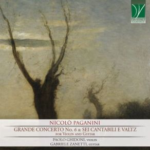 Nicolò Paganini - Grande Concerto No. 6 & Sei Cantabili E Valtz (For Violin And Guitar) album cover