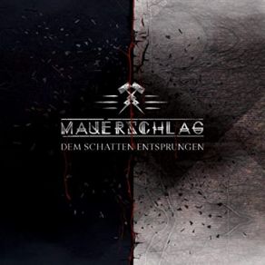 Dem Schatten Entsprungen album cover