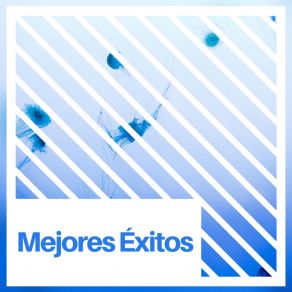 Mejores Éxitos album cover