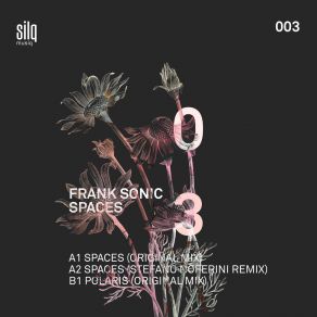 Spaces album cover