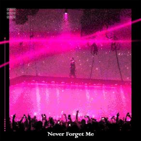 Never Forget Me album cover
