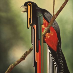 Bird Rib album cover