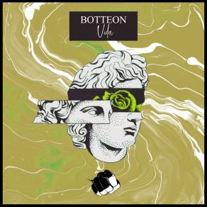 Vida album cover