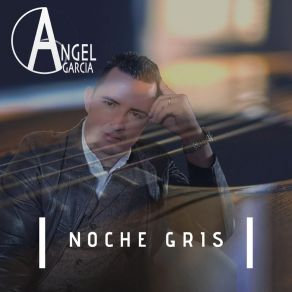 Noche Gris album cover