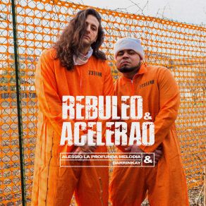 Amor & Perreo album cover
