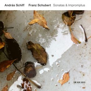 Sonatas & Impromptus (CD2) album cover