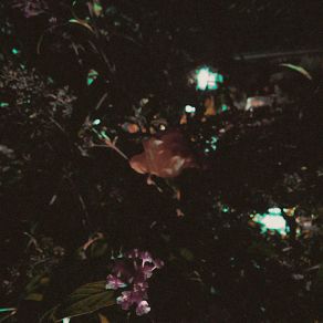 Aglossia album cover