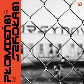 Szkoła 81 album cover