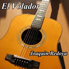 El Volador album cover