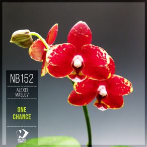 One Chance album cover