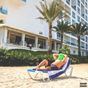 Gangsters Don't Die, They Get Chubby And Move To Miami album cover