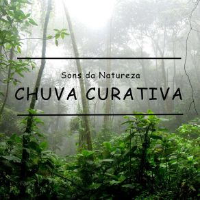 Sons Da Natureza: Chuva Curativa album cover
