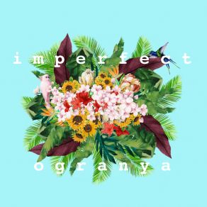 Imperfect album cover