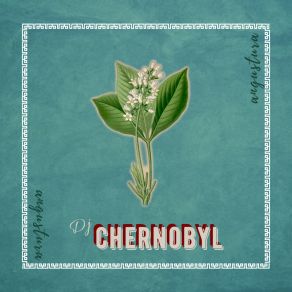 Angustura album cover