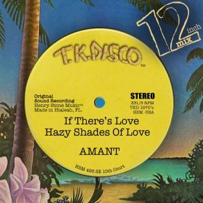 Amant T. K. Disco 12 Inch Mix album cover