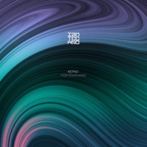 For Your Mind (Original Mix) album cover