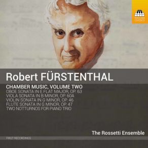 Fürstenthal: Complete Chamber Music, Vol. 2 album cover