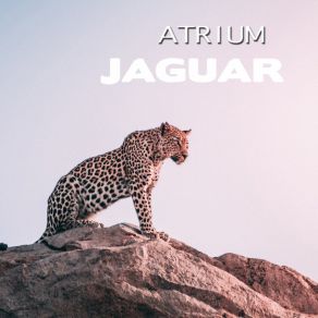 Jaguar album cover