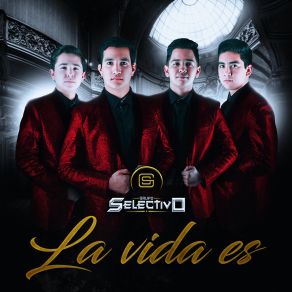 La Vida Es album cover