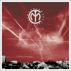 Snowflakes In June (Single) album cover