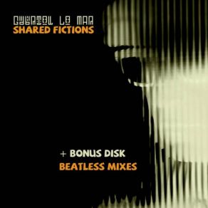 Shared Fictions album cover