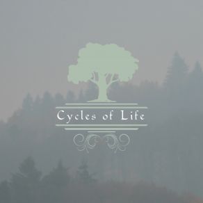 Cycles Of Life (Single) album cover