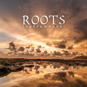 Roots (Instrumental) (Single) album cover