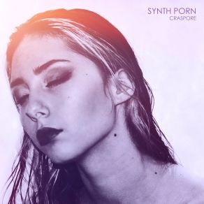 Synth Porn album cover