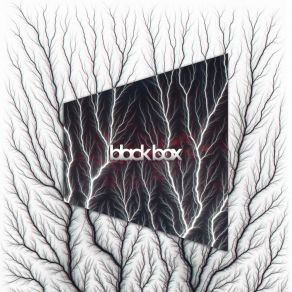 Black Box album cover